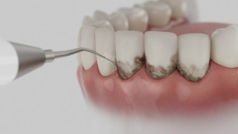 Reliable Dental contractor in Westlake, LA by Dentist Open Now